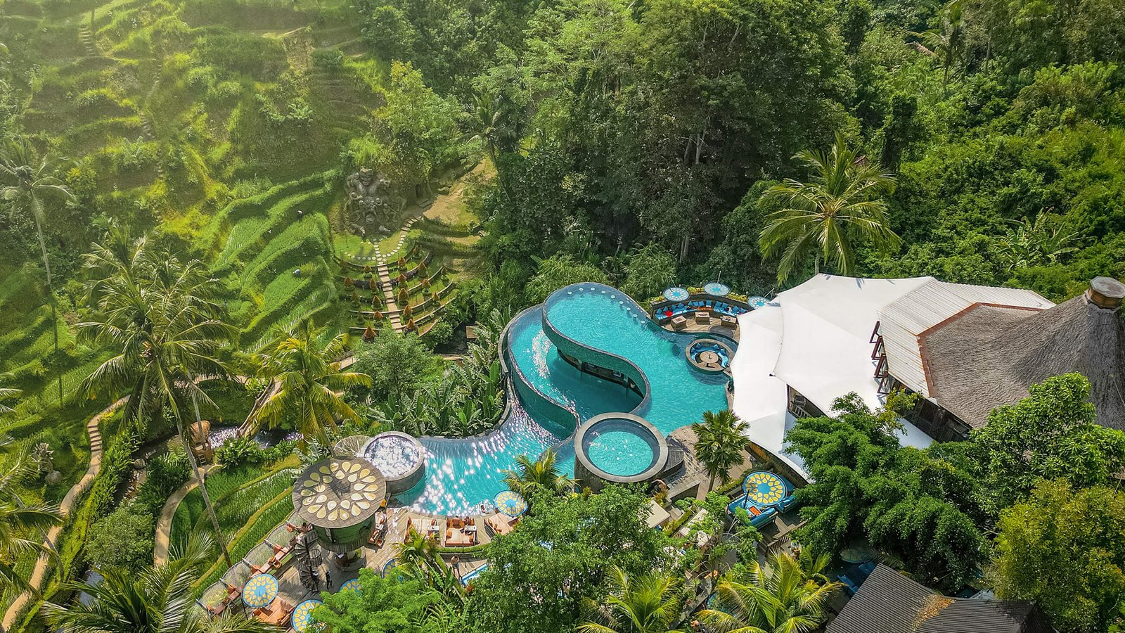 Monkey Forest & Tirta Empul & Luwak Kahve & Alas Harum